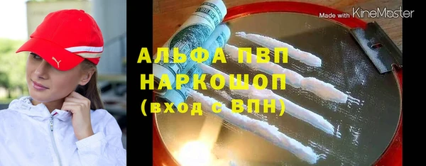 PSILOCYBIN Белокуриха