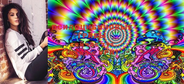PSILOCYBIN Белокуриха