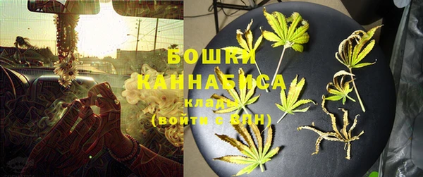 PSILOCYBIN Белокуриха