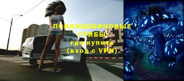 PSILOCYBIN Белокуриха