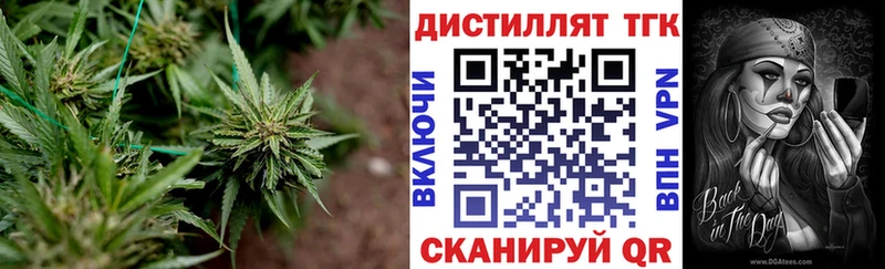 сколько стоит  Очёр  ссылка на мегу маркетплейс  Дистиллят ТГК THC oil 