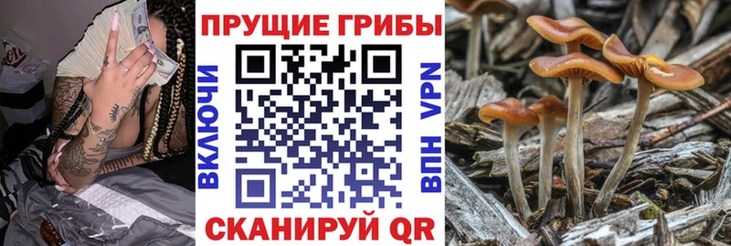 цены   ОМГ ОМГ ONION  Галлюциногенные грибы мухоморы  Очёр 